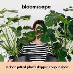 Bloomscape Discount Codes & Promo Codes
