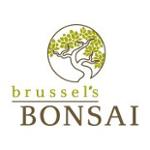 Brussel's Bonsai Promo Codes