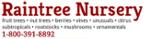 Raintree Nursery Discount Codes & Promo Codes