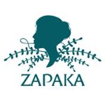 ZAPAKA $10 Off Promo Codes